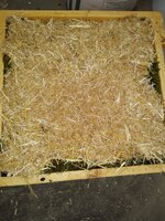 IMG_20200617_163452109.jpg