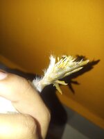 20200618_201802.jpg