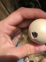 00308596-E151-4F81-A265-ABBD245919F2.jpeg