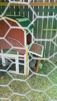 20200618_121442.jpg