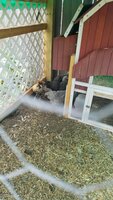 20200618_121453.jpg