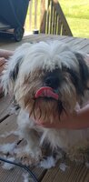 20200618_121050.jpg