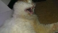 IMAG0213.jpg