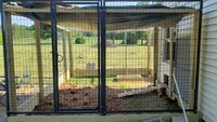20200618_172949.jpg