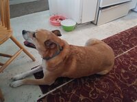 20200620_183319.jpg 20200620_183319.jpg