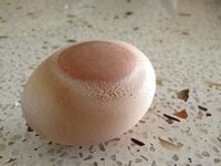 White banded egg