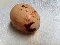 Blood on eggshell