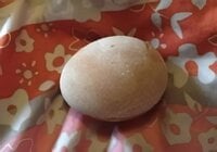 Calcium coated egg