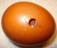 Holes in eggshells