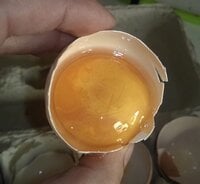 Mottled yolks