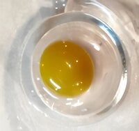 y4 discolourd yolk.jpeg