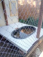 IMG_20200614_083748.jpg