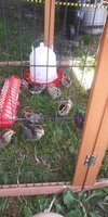 20200619_125221.jpg
