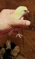 20200606_175812.jpg