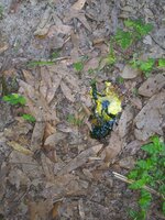 20200622_094705.jpg