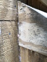 IMG_1758.jpg