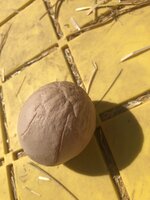 F4909544-51AC-41CC-BD76-A495A7C71CBE.jpeg