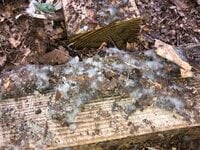 IMG_1765.jpg
