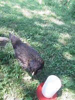 20200621_114813.jpg