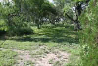 IMG_6554.JPG