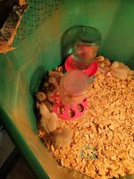20200518_172044.jpg