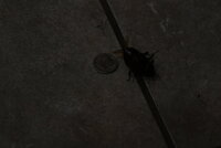 IMG_6566.JPG