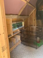 IMG_7521.jpg