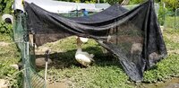20200616_154801.jpg