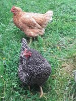 cinny and thelma.jpg