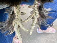 40CE8165-6EA5-43F7-AAA2-48F0272BA155.jpeg
