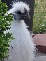 20200617_202409.jpg