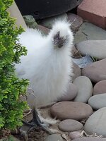 20200617_202349.jpg