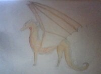IMG_20200623_205436.jpg