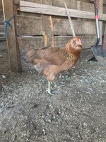 220410E0-D463-4248-8445-E1383CEE4F77.jpeg