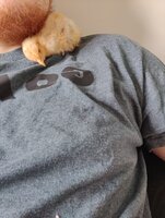 cuddles.jpeg