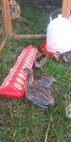 20200619_125150.jpg