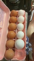 4FE5C04D-D22B-4F9A-8CE9-B7E1C75B4CE7.jpeg