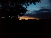 20200625_055338.jpg