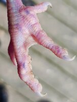 20200625_105557.jpg