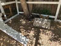 25C87EF6-1DB2-426C-ADE1-7A45311EA860.jpeg