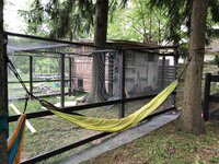IMG_3620.jpg