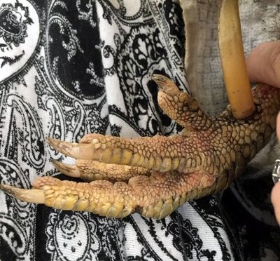 max feet5.jpg