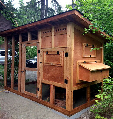 Coop Nest Box Angle.jpg