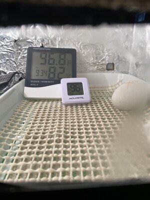 8FDC0295-33CA-4ED2-AD9F-2AD0C81AD6ED.jpeg