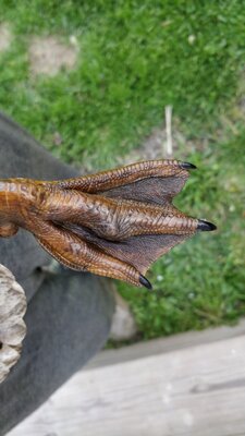 IMG_20200507_193056.jpg
