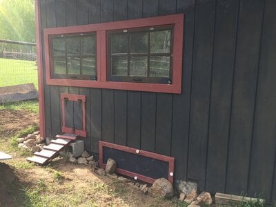 From Stall to Coop: Grove Creek Girls Get New Digs