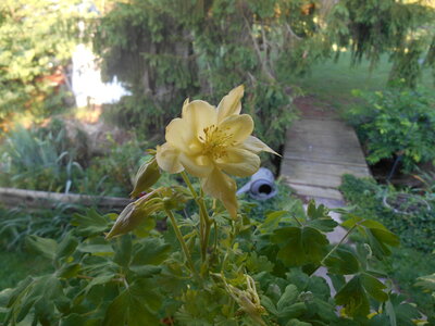 DSCN0409.JPG