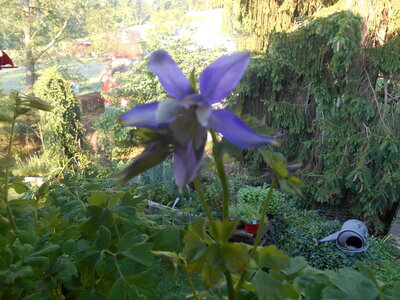 DSCN0410.JPG