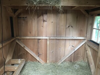 Inside of Coop.jpg