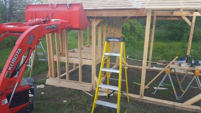 duckhouse floor joists.jpg